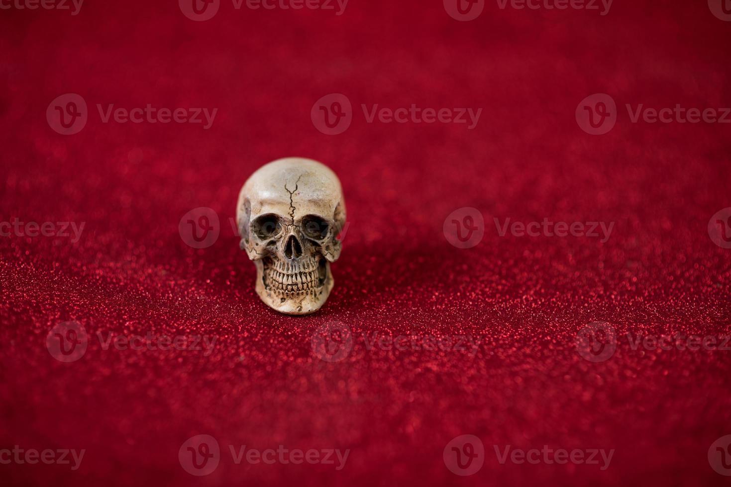 Red background and cute skull Harovine concept photo