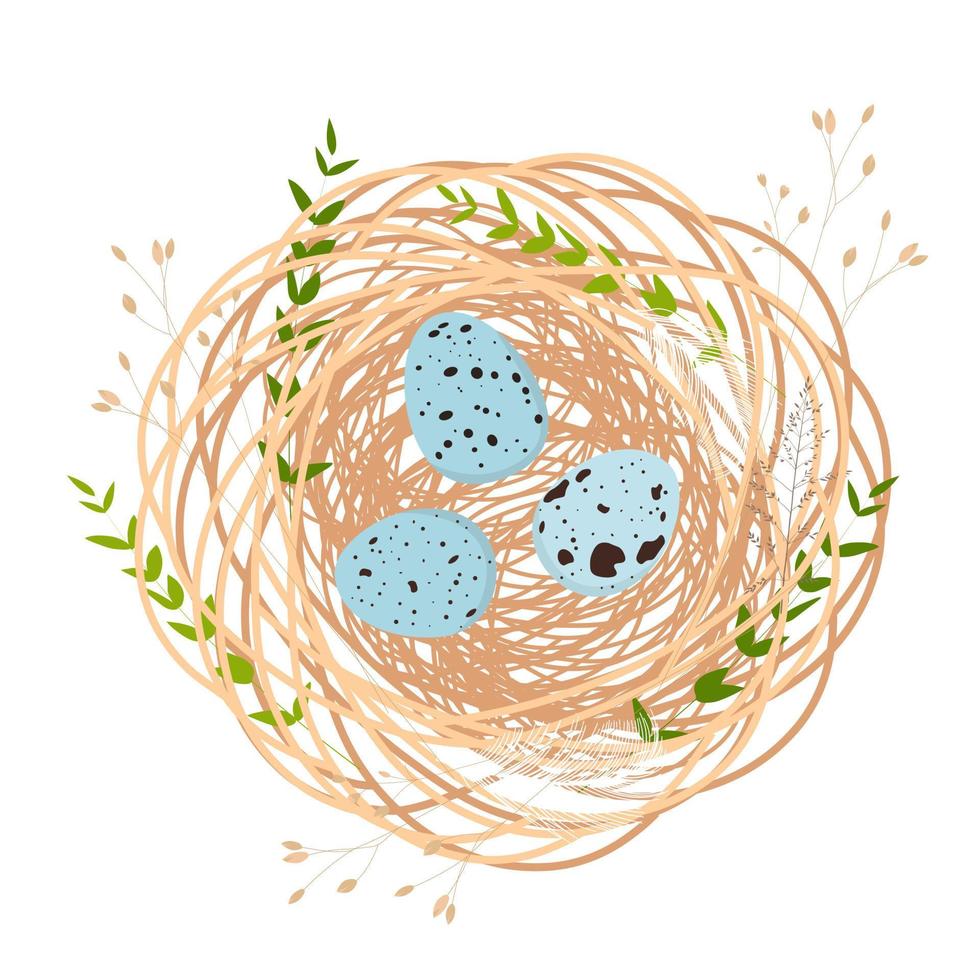 A cute bird's nest with small eggs inside. Easter card. Spring background. Frame, wreath with a feather. Vector illustration. isolated on a white background.