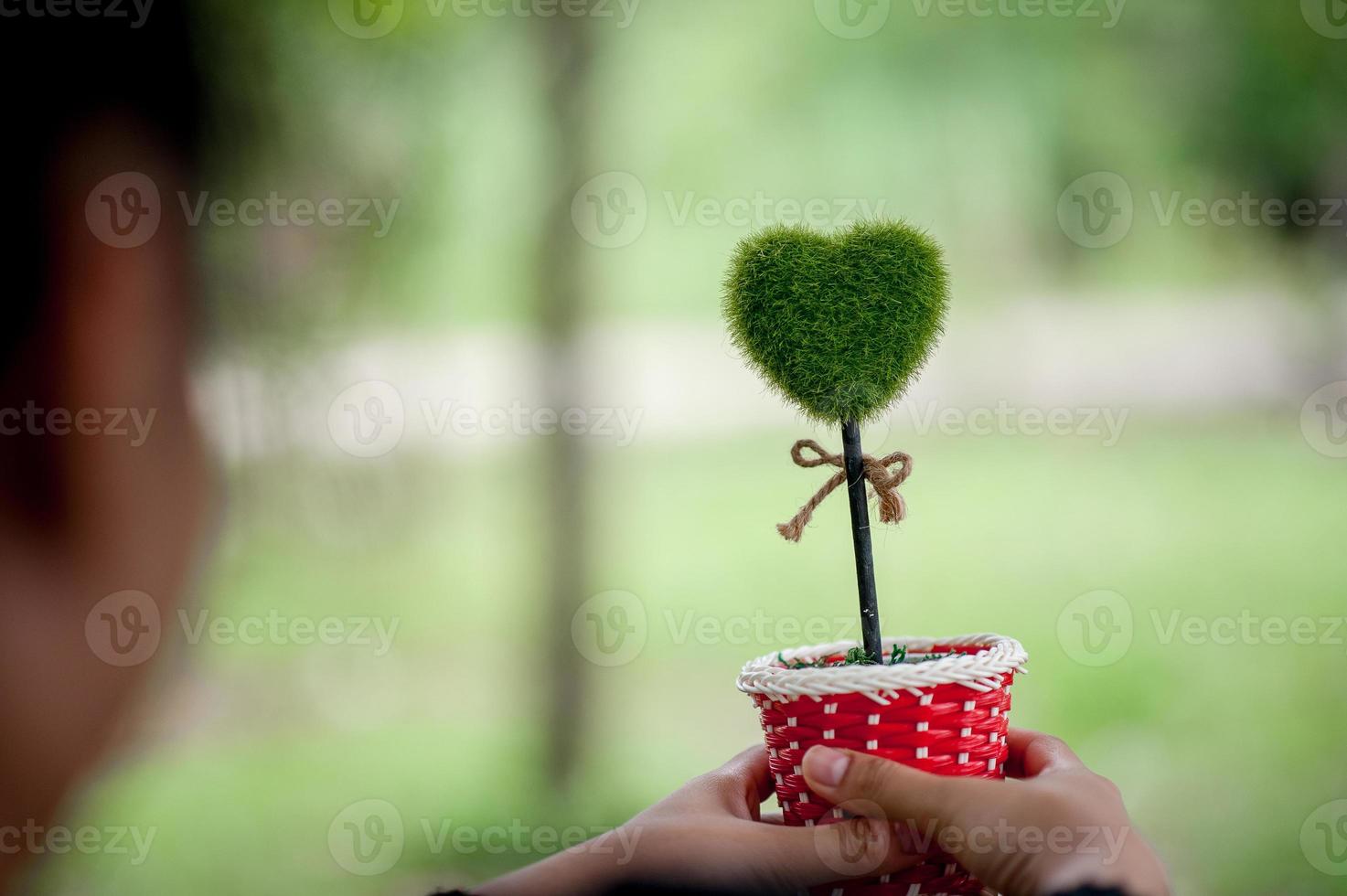 Beautiful green hand and heart images Valentines Day concept With copy space photo