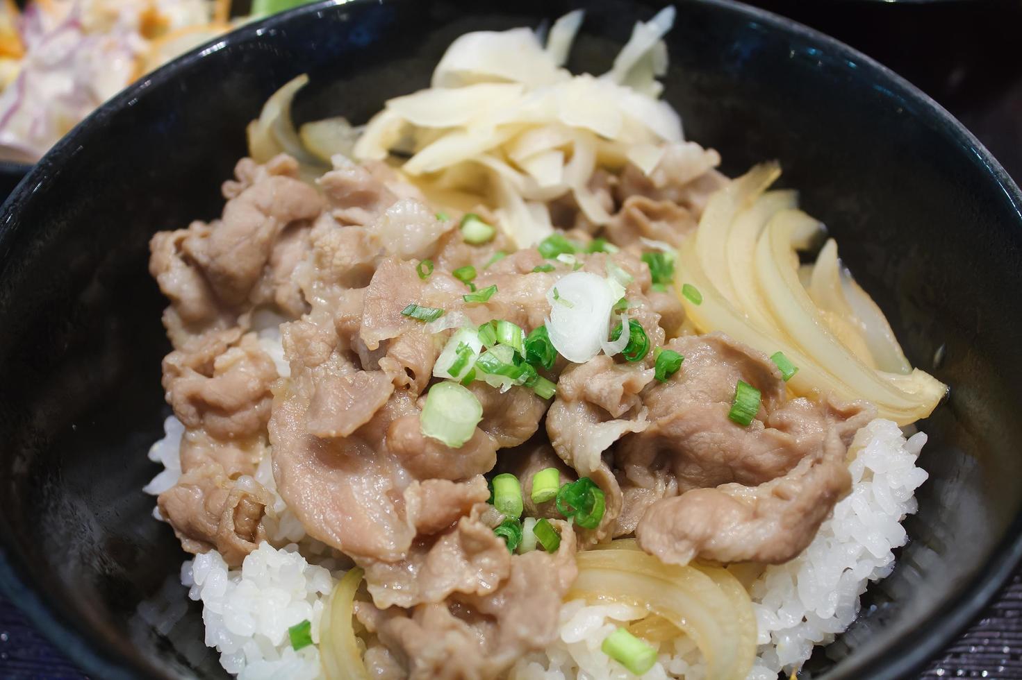 donburi, pork rice bowl, bowl of rice with food on top photo