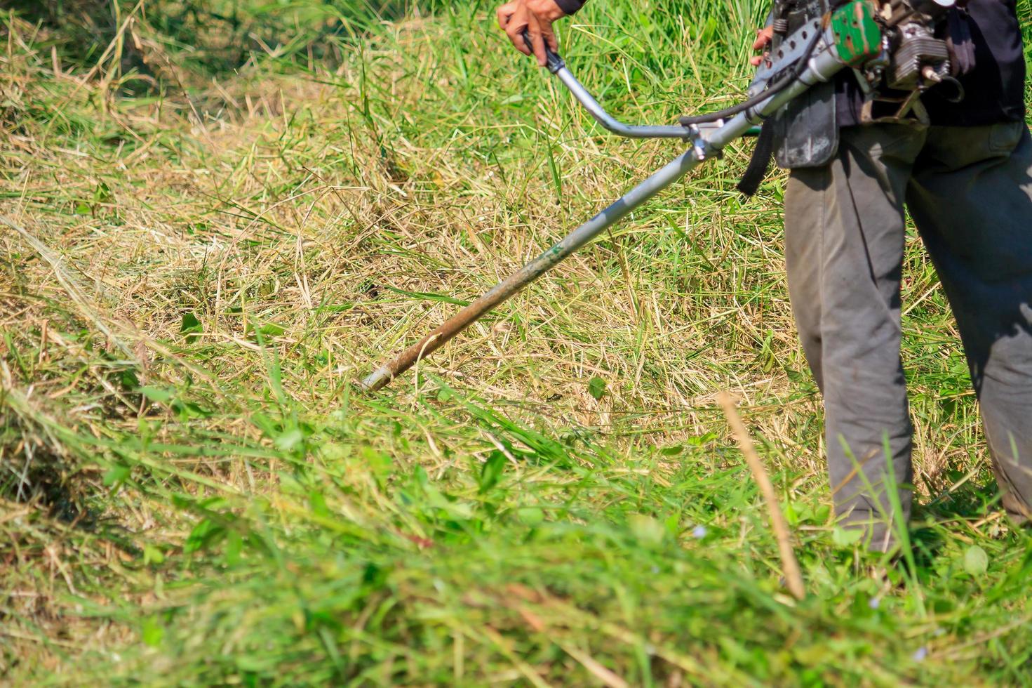 trabajador cortando el pasto foto