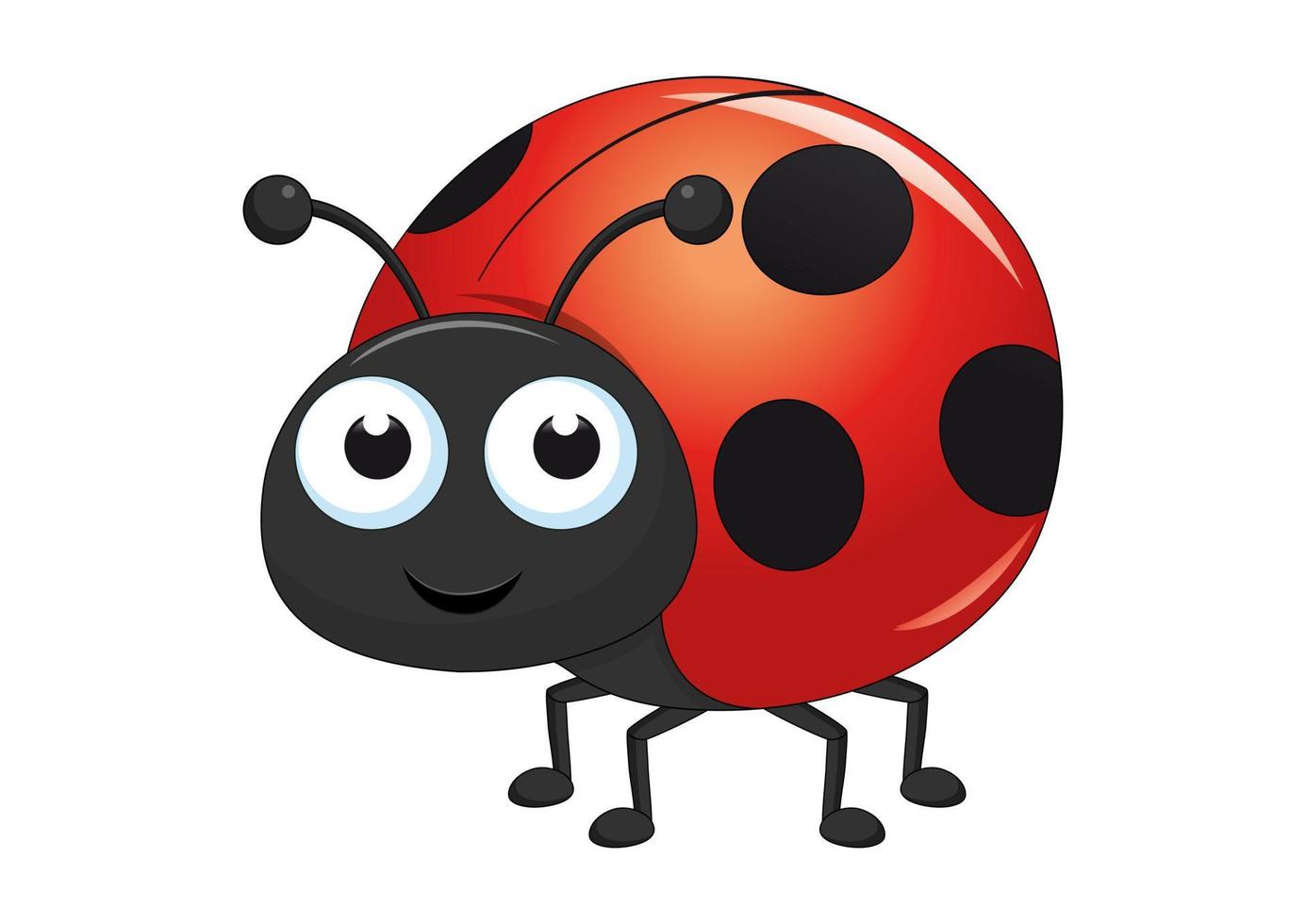 Ladybug character vector illustration. Cartoon ladybug isolated on white background