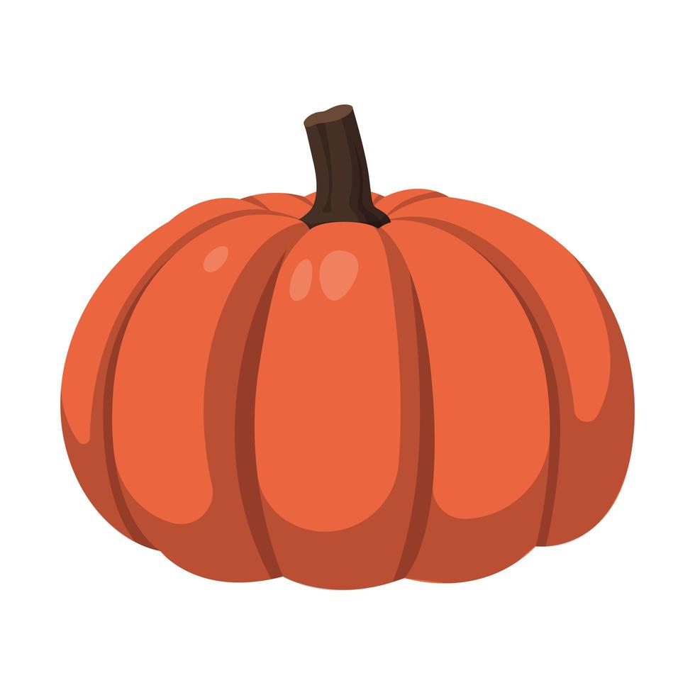 Realistic big orange pumpkin on white background - Vector