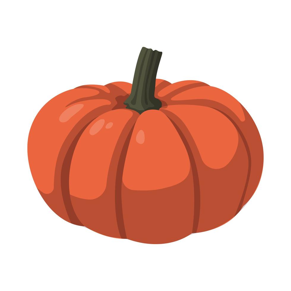 calabaza naranja grande realista sobre fondo blanco - vector