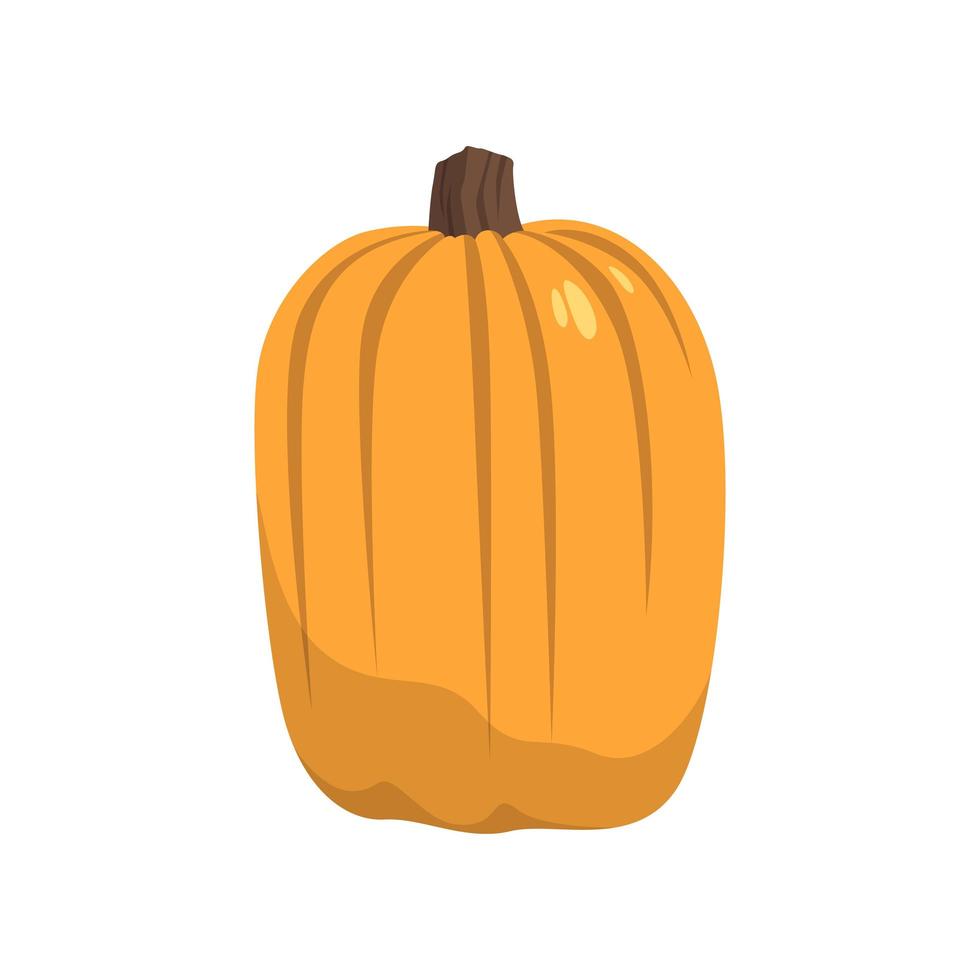 Realistic big orange pumpkin on white background - Vector