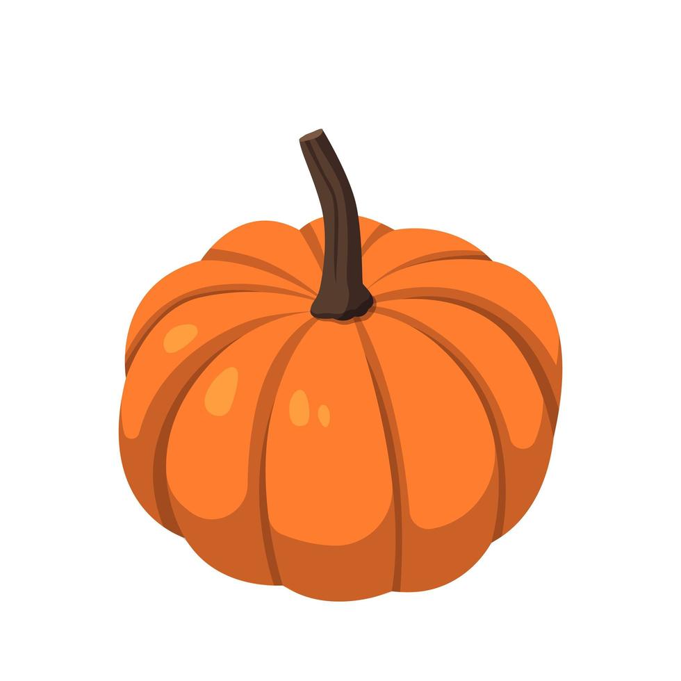 Realistic big orange pumpkin on white background - Vector