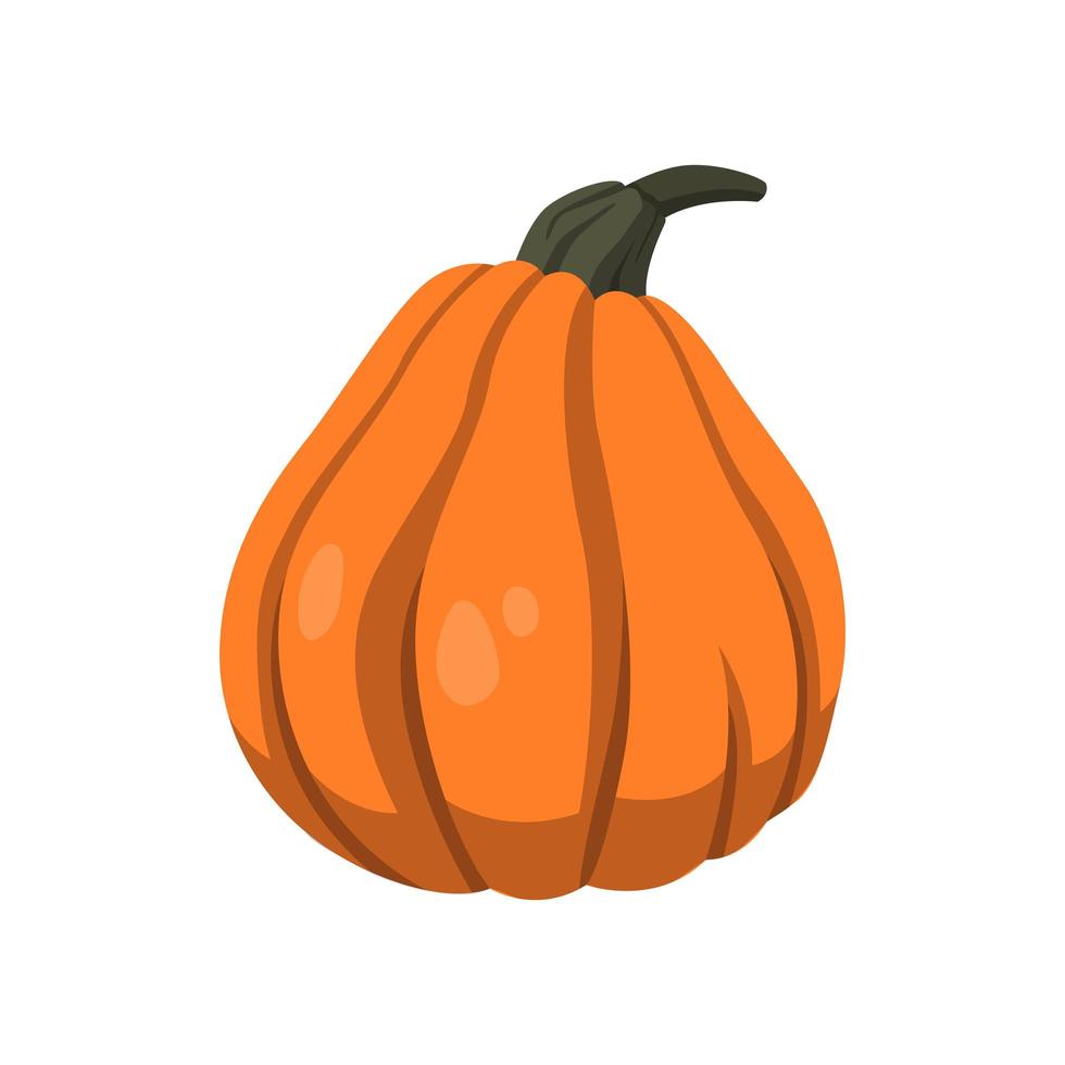 Realistic big orange pumpkin on white background - Vector