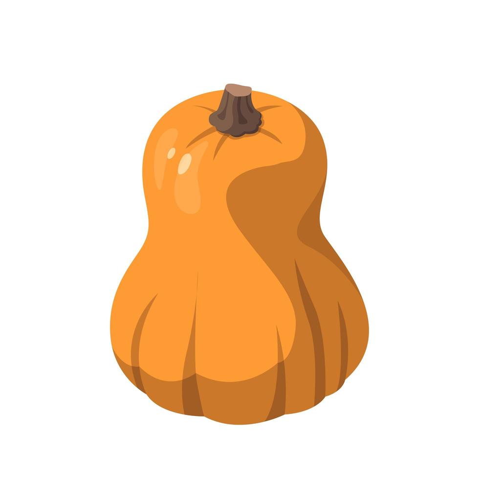 calabaza naranja grande realista sobre fondo blanco - vector