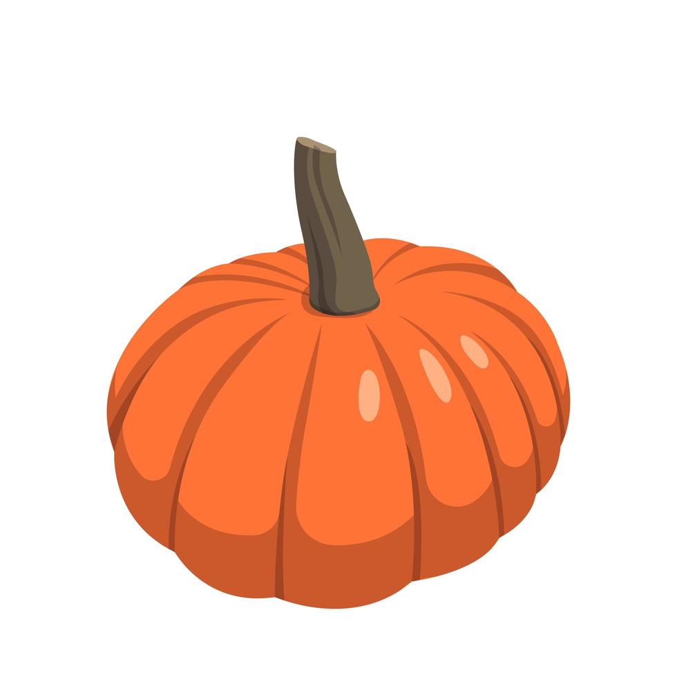 Realistic big orange pumpkin on white background - Vector