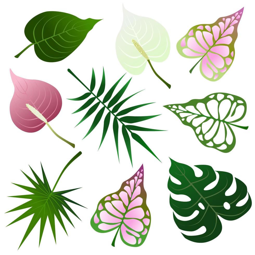 Colorful tropical leaf set. vector