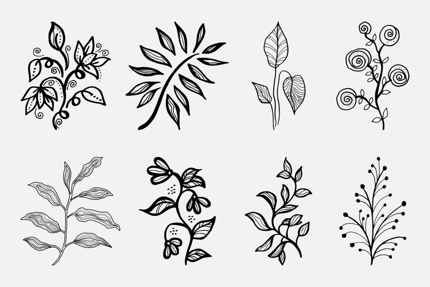 elementos florales de diseño vectorial dibujado a mano vector