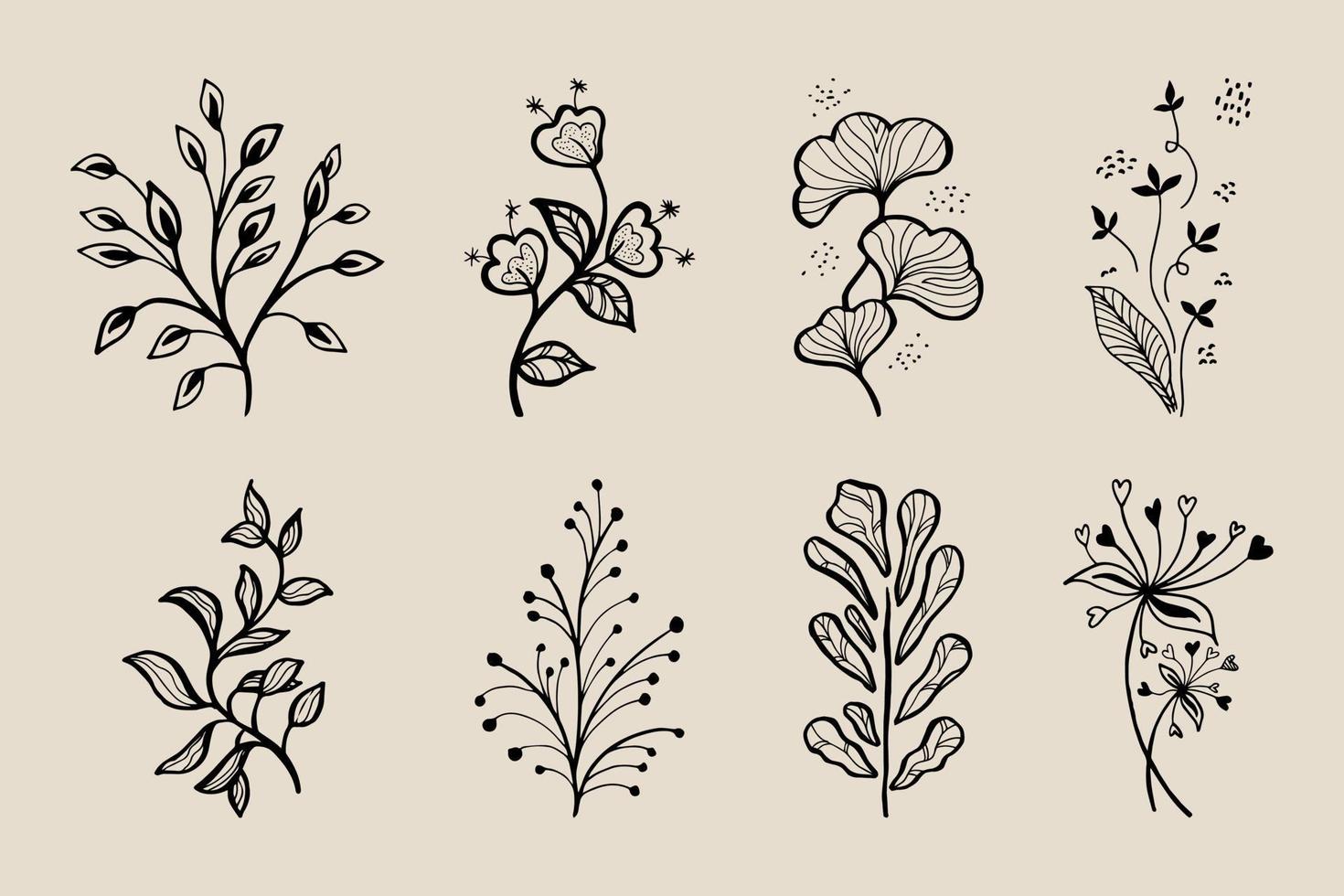 elementos florales de diseño vectorial dibujado a mano vector