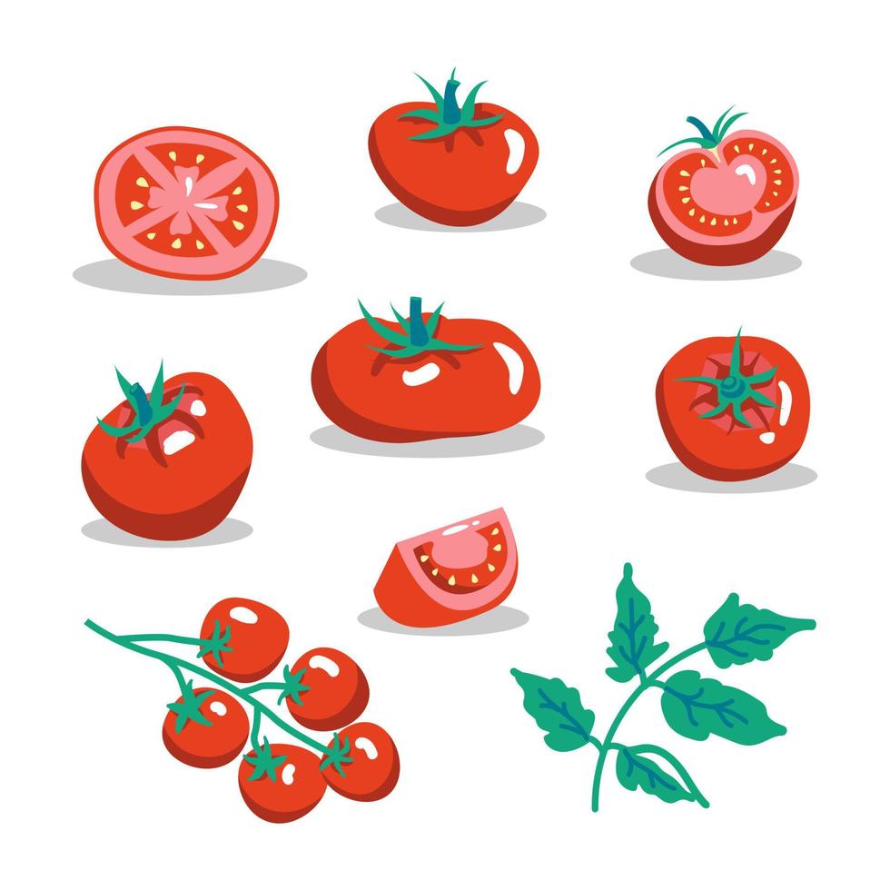 conjunto de ilustraciones vectoriales de tomates rojos frescos. medio tomate, una rodaja de tomate, tomates cherry. vector