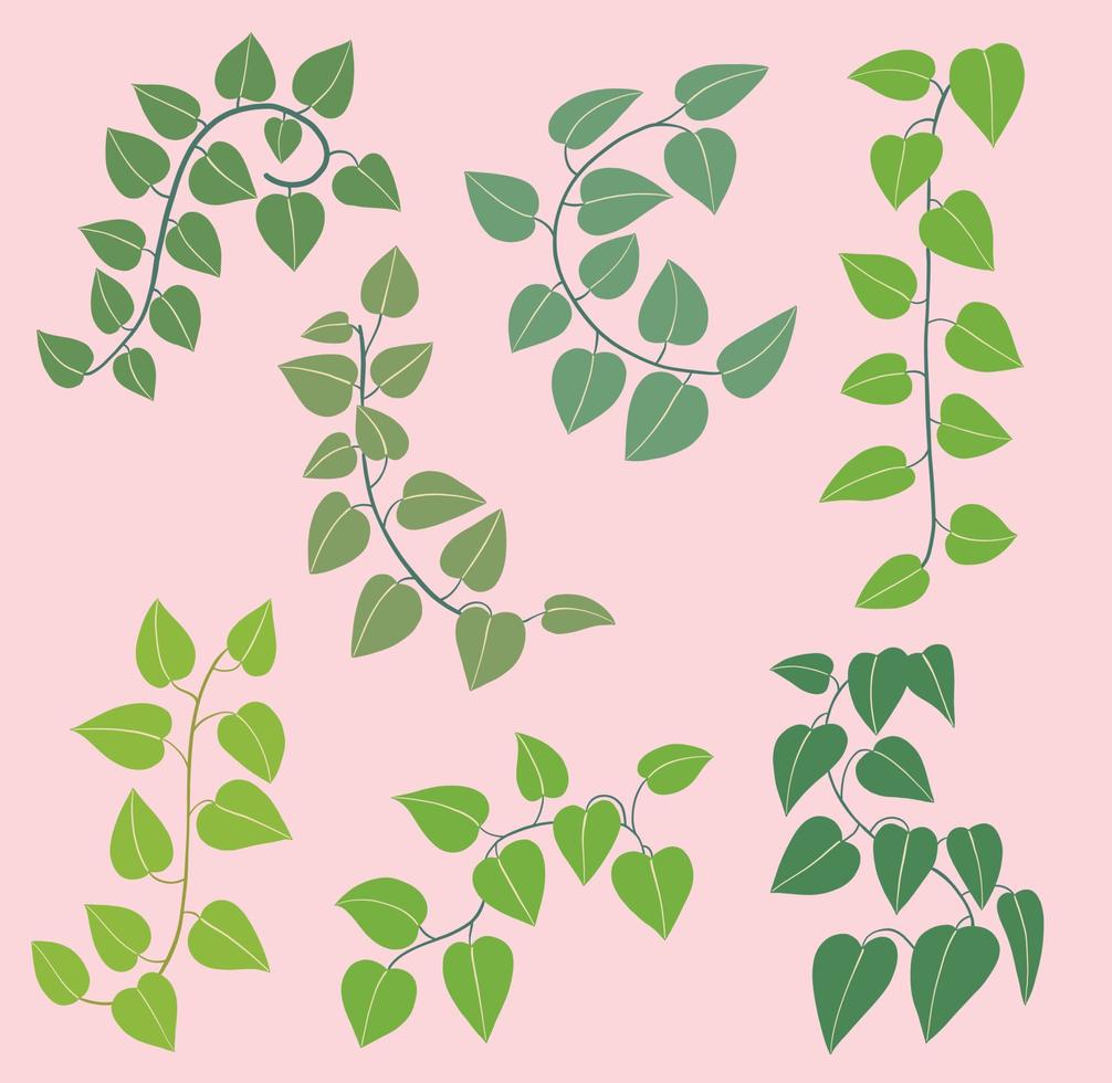 Simplicity ivy freehand drawing flat design collection. vector