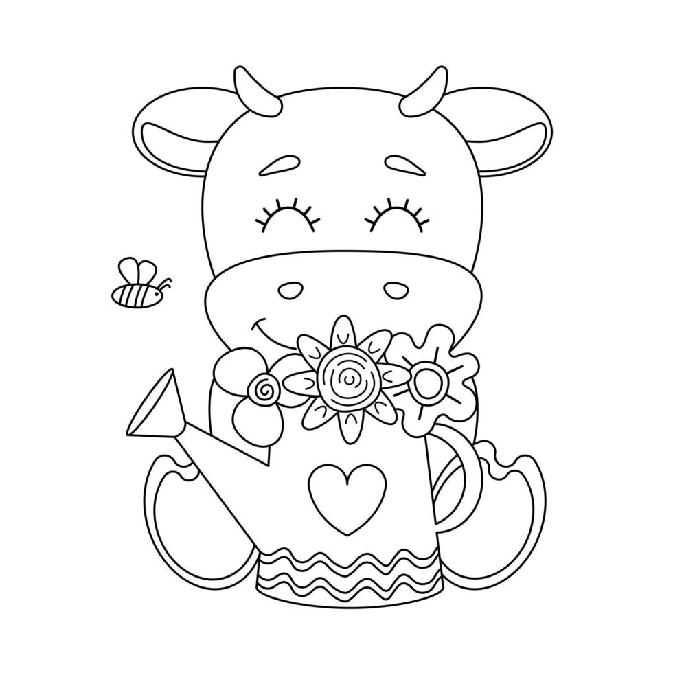 Lineart of cute bull with watering can inside which is bouquet of flowers. Bull sniffs flowers. Vector illustration for kids coloring book.