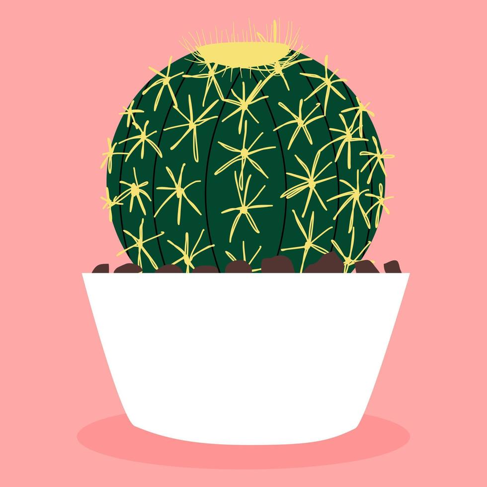 Echinocactus grusonii. Cactus in a pot. Plants and flowers. Gardening. Summer. Hand drawn vector. Illustration for decoration. vector