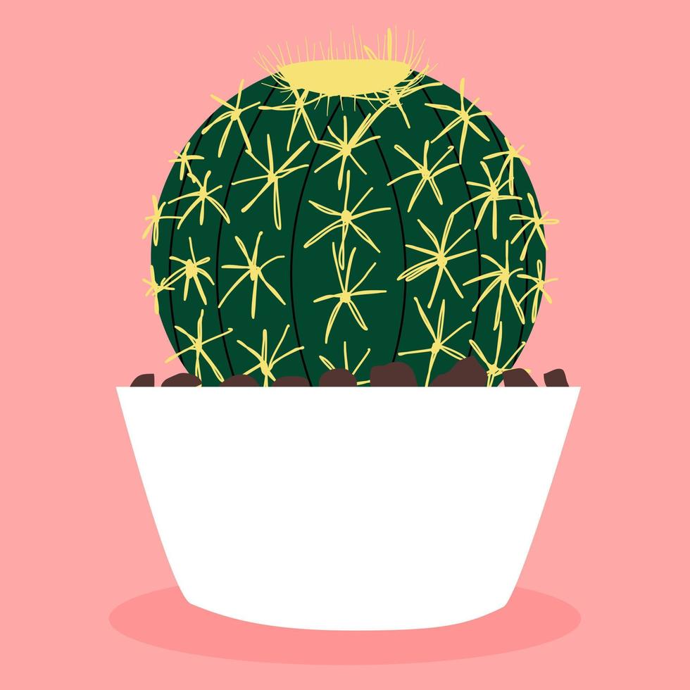 echinocactus grusonii. cactus en una maceta. plantas y flores. jardinería. el verano. vector dibujado a mano. ilustración para la decoración.