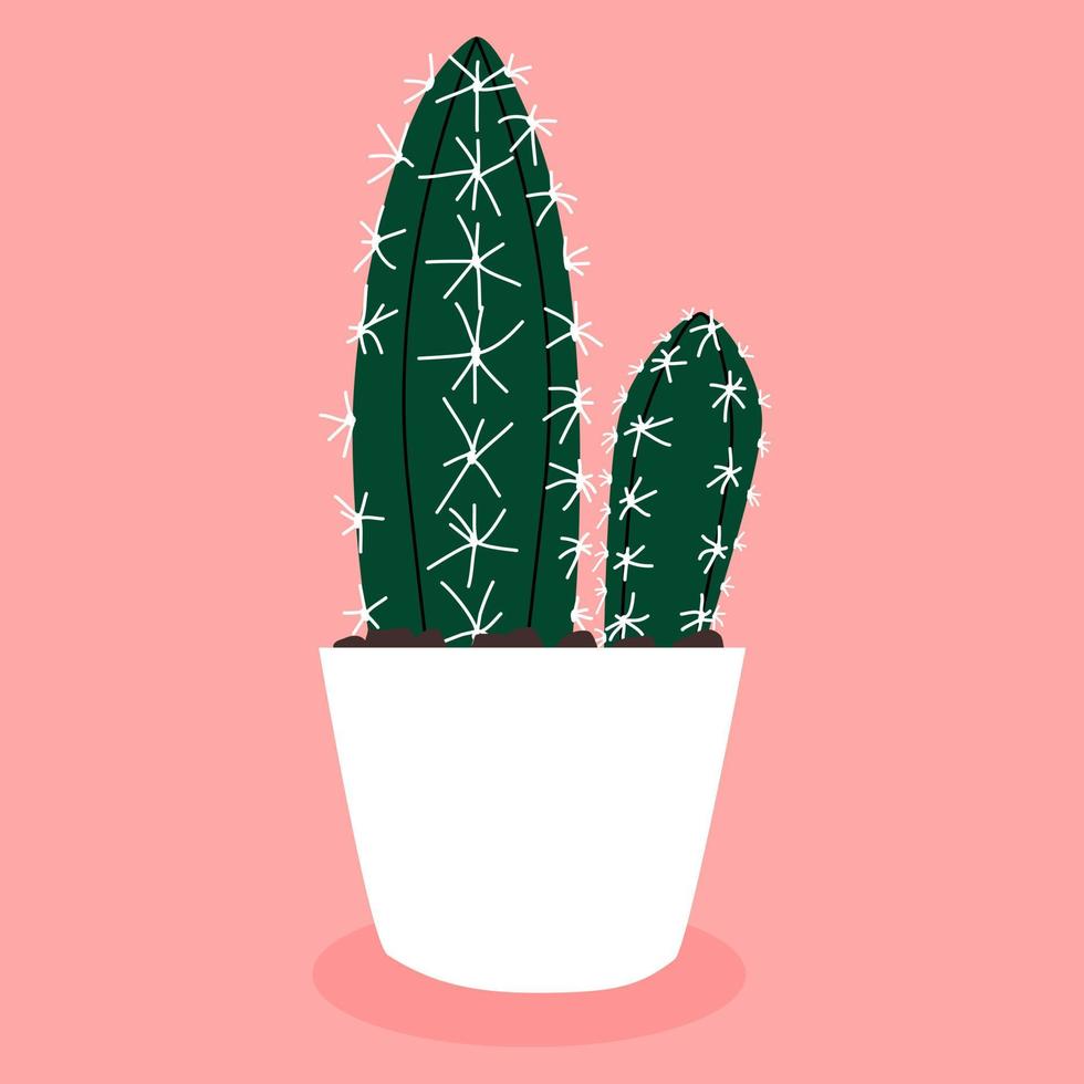 Cereus peruvianus. Cactus in a pot. Hand drawn vector. for decoration. Gardening. Plants and flowers. vector