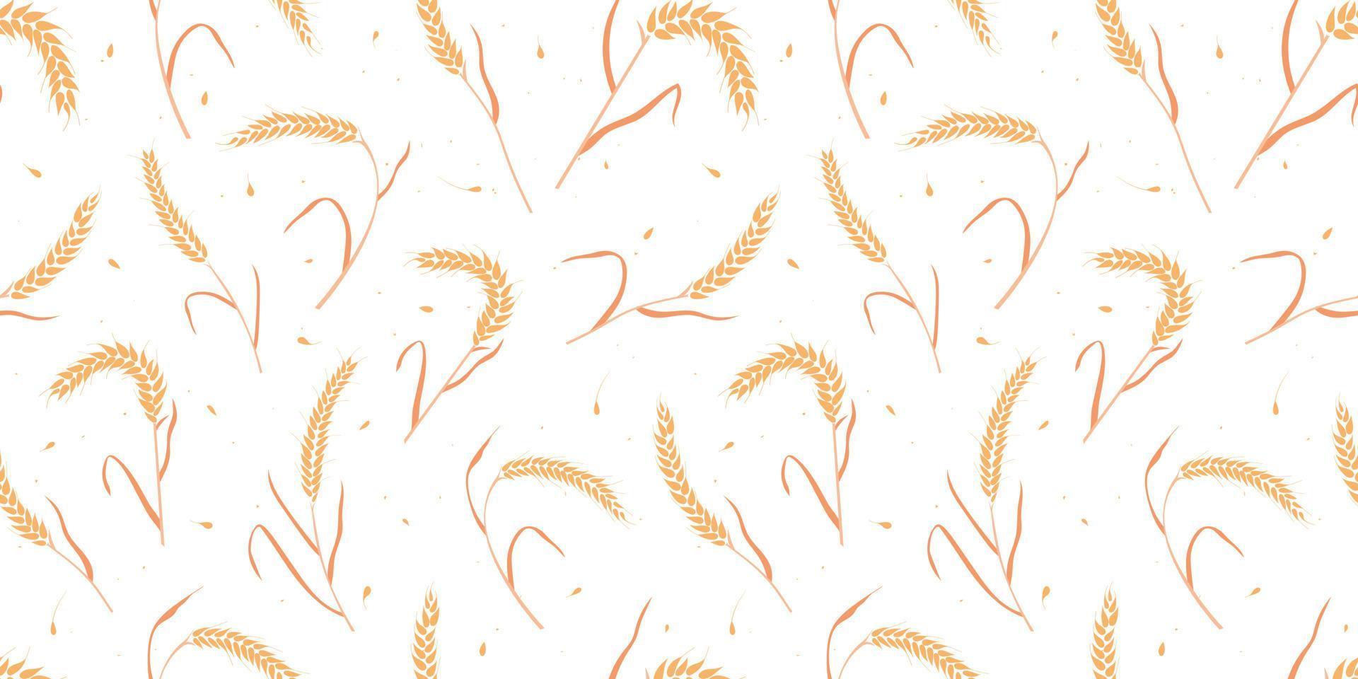 Seamless pattern with whole grain seeds organic, natural ears isolated on white background. vector