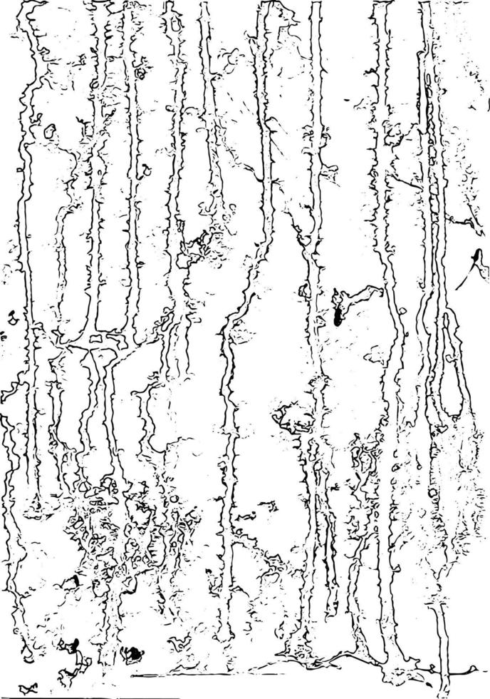 Abstract ink painting vector texture isolated on a white background.
