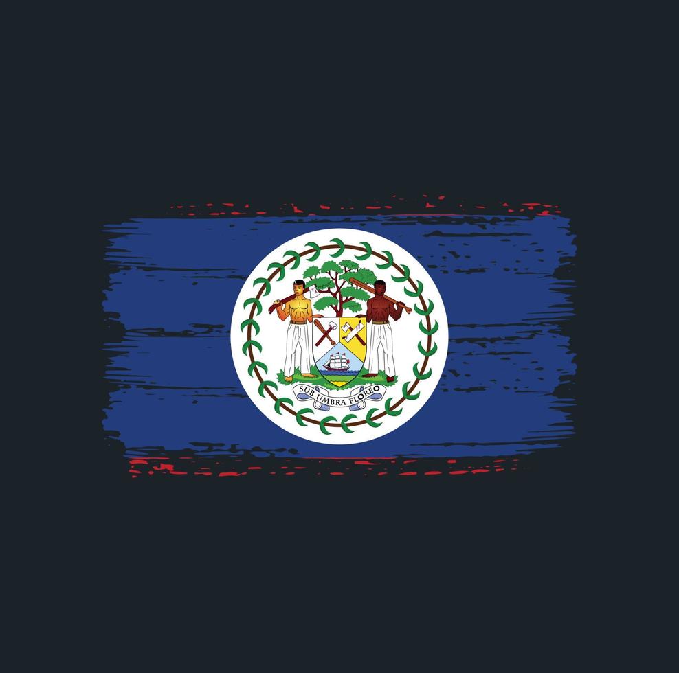 trazos de pincel de bandera de belice. bandera nacional vector