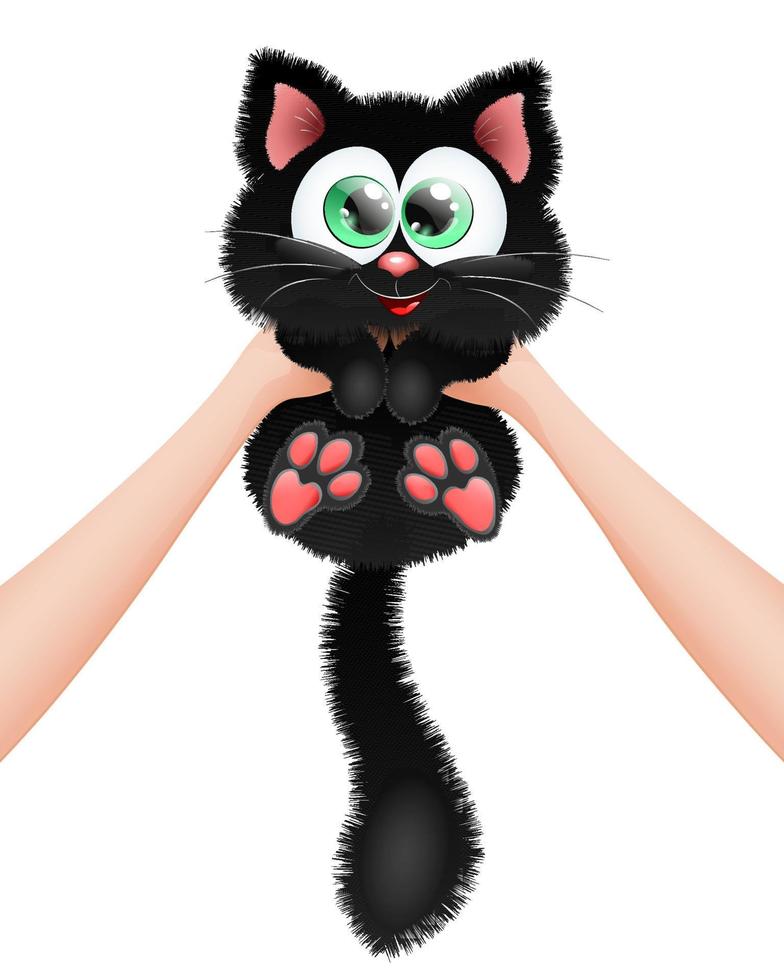 gato negro en las manos vector