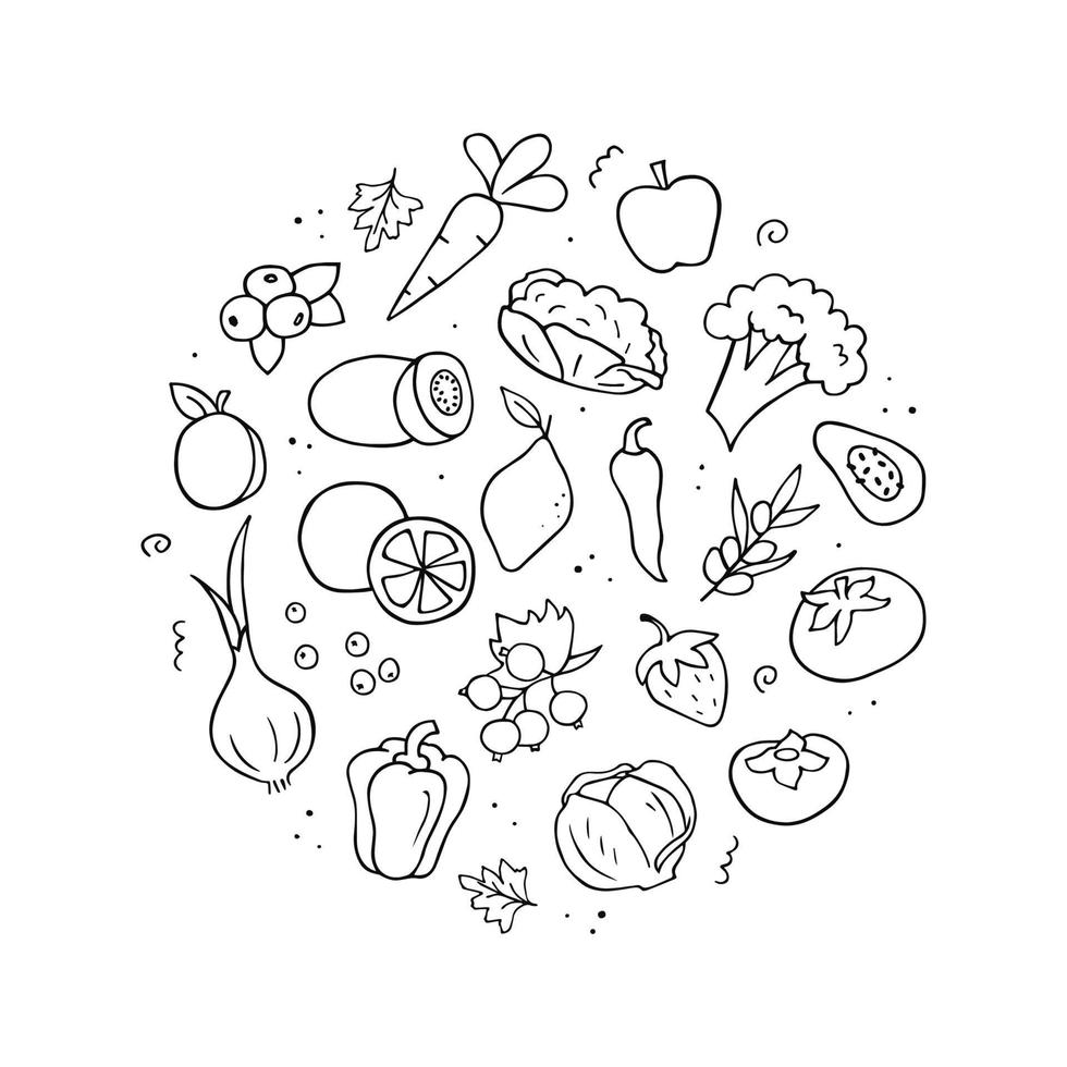 Hand drawn set of vitamin C sources. Vegetables, fruits, berries. Doodle sketch style. Vector outline illustration for banner, website, background and more.