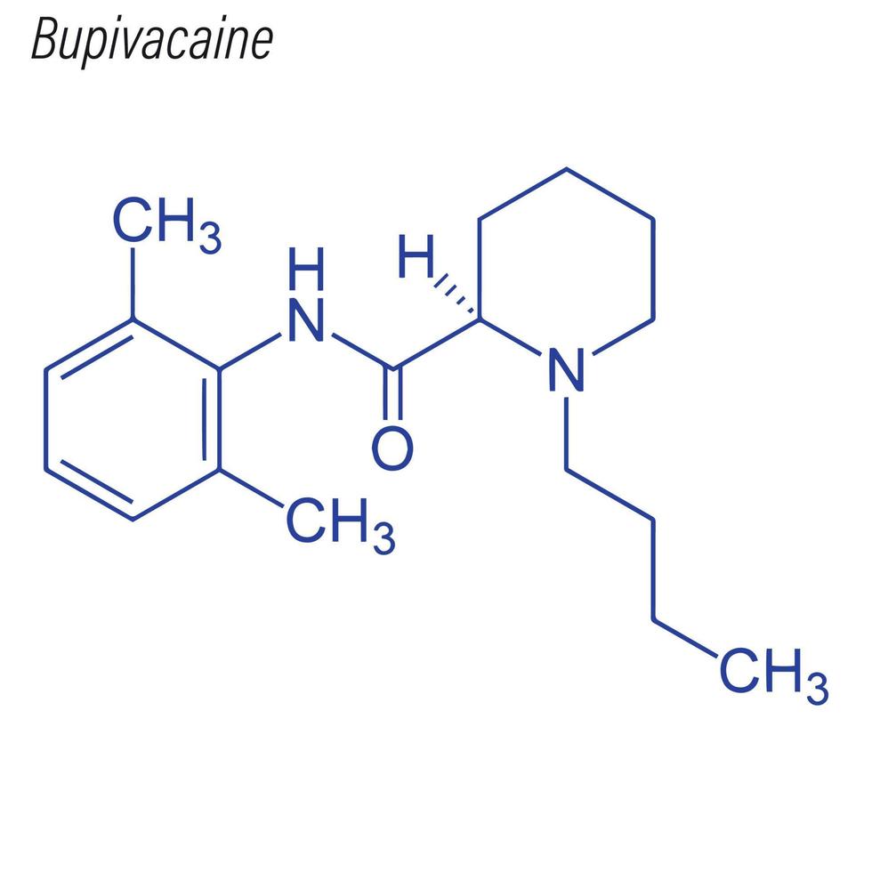 Vector Skeletal formula of Bupivacaine