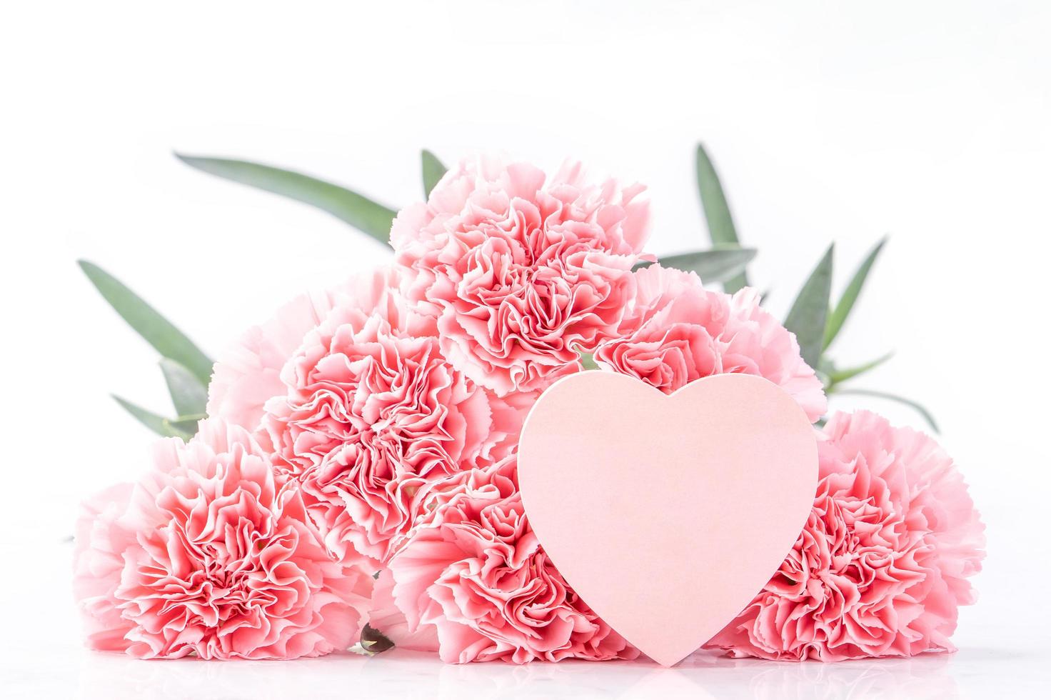 vista superior de la elegancia floreciente claveles tiernos de color rosa dulce aislados en fondo blanco brillante con tarjeta, concepto de diseño de saludo de mamá del día de la madre de mayo, primer plano, espacio de copia foto