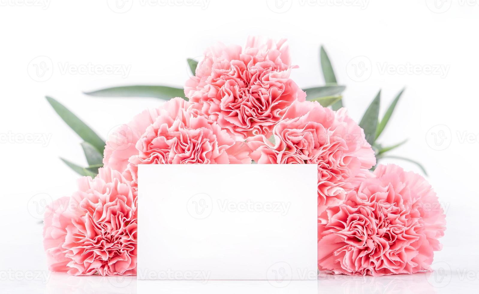 Top view of elegance blooming sweet pink color tender carnations isolated on bright white background with card, may mothers day mum greeting design concept, close up, copy space photo