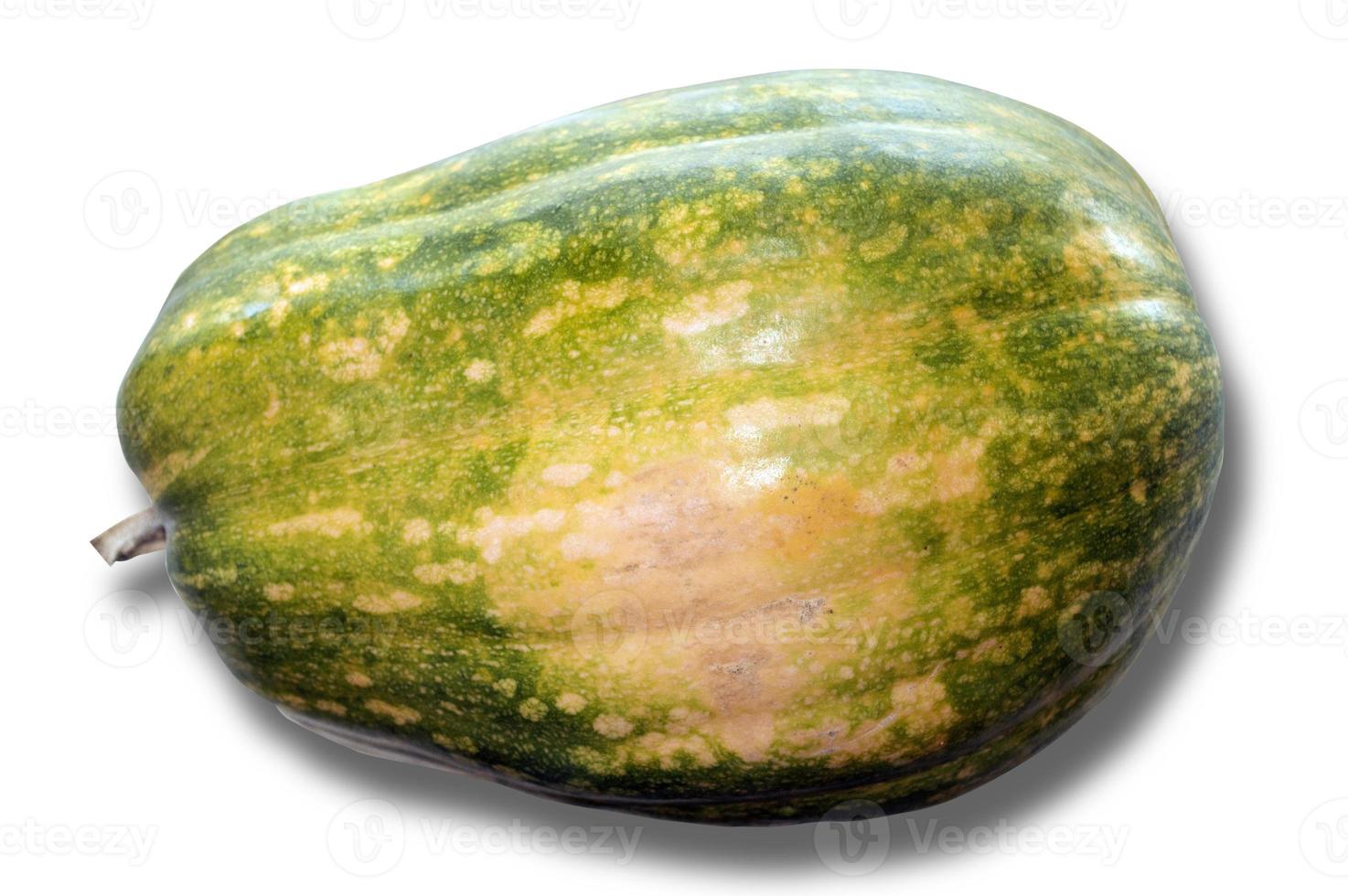 speckled green pumpkin photo