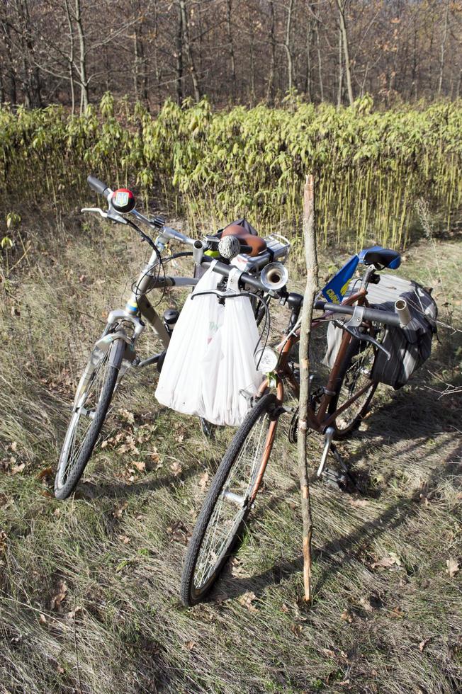 two bicycles standing on dry grass photo