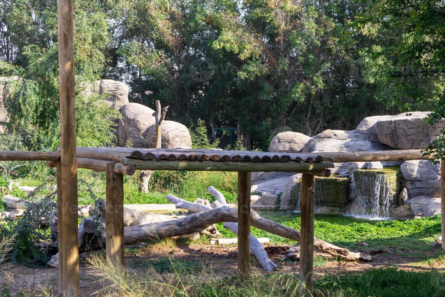 landscape scene in the forest photo