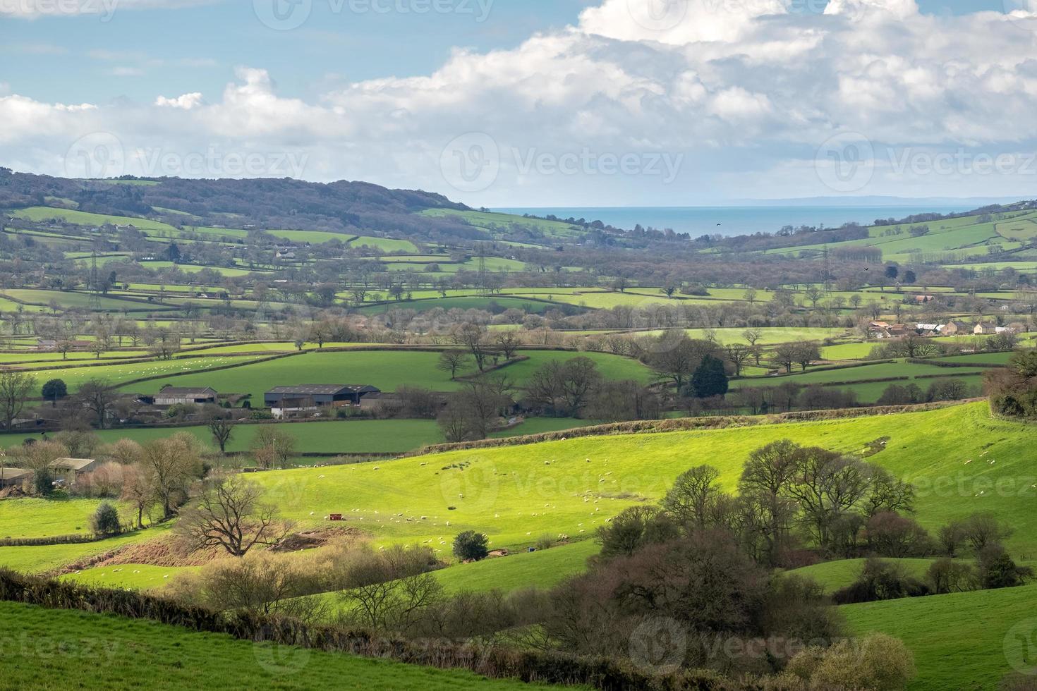 Scenic View of the Undulating Countryside of Somerset photo