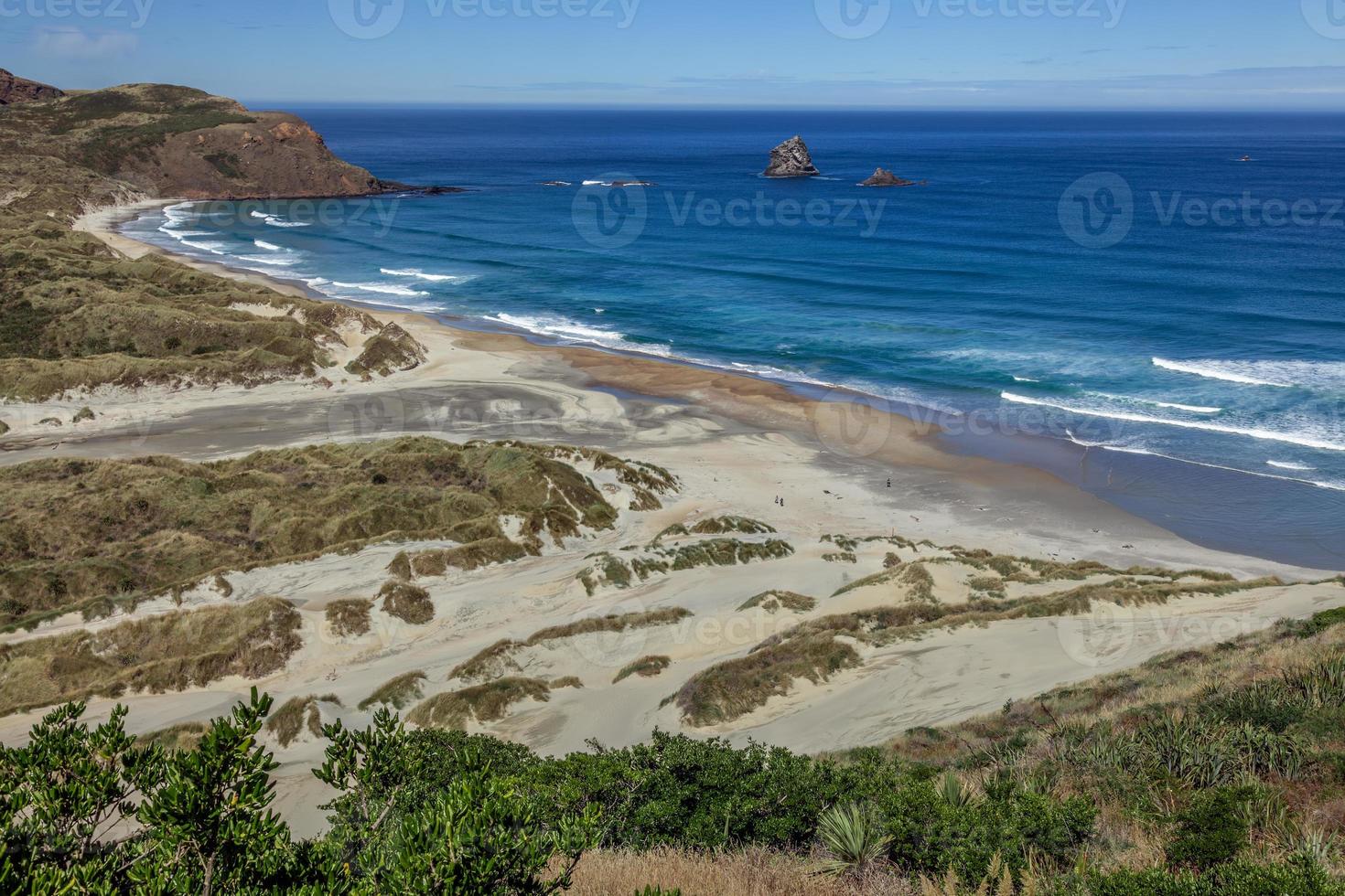 The spectacular coastline at Sandfly Bay in the South Island of New Zealand photo