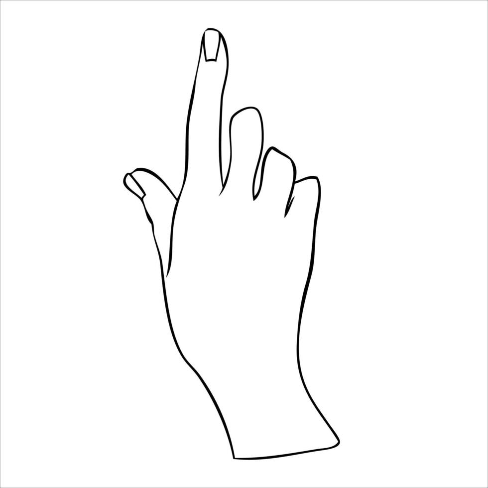 Linear silhouette of an elegant female or witch hand. Mystical movements of the posture of the fingers. Vector illustration