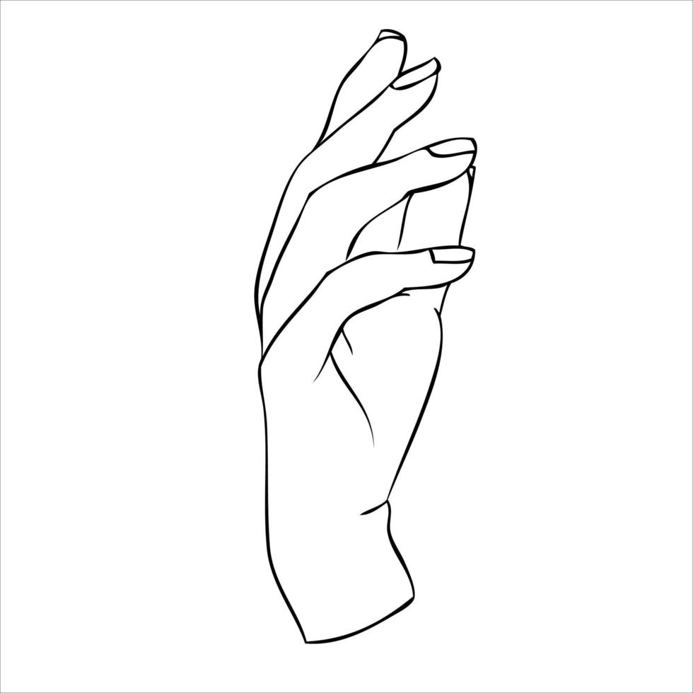 silueta lineal de una elegante mano femenina o bruja. movimientos místicos de la postura de los dedos. ilustración vectorial vector