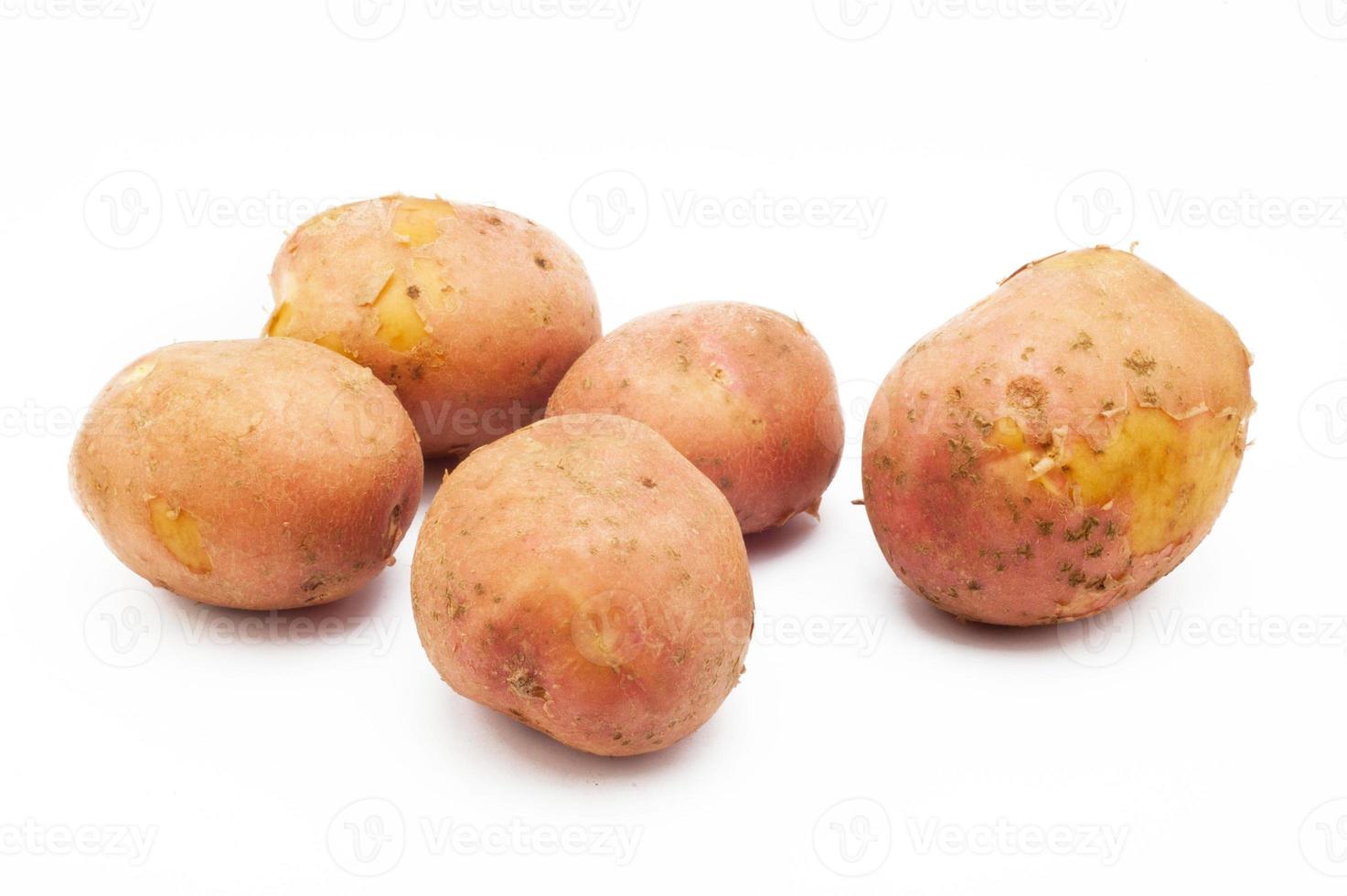 Variedades de patata kuroda. papas aisladas sobre fondo blanco foto