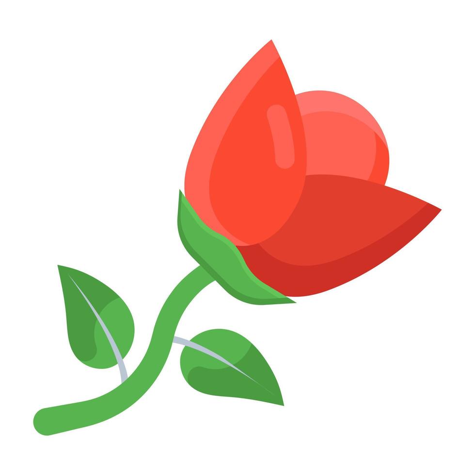 un icono plano de flor fragante, rosa vector
