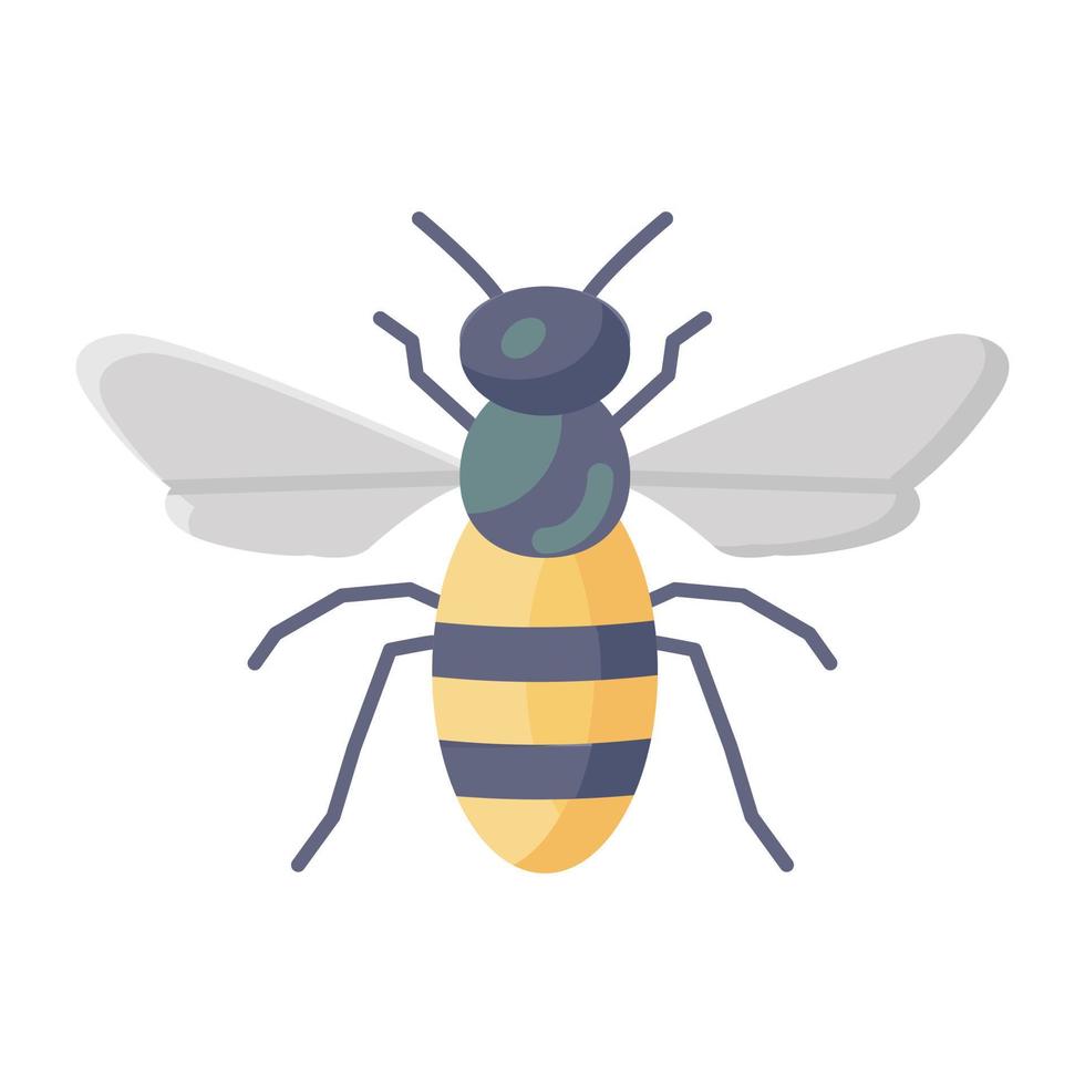 Editable vector of honey bee, creature