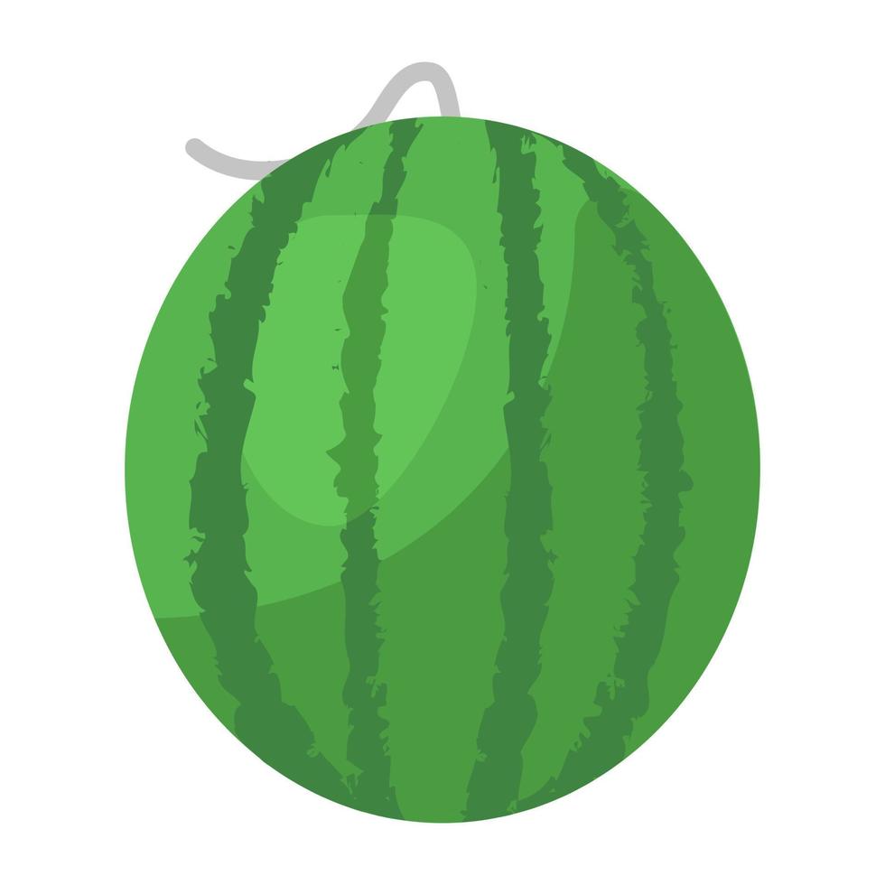 fruta de verano, icono plano de sandía vector