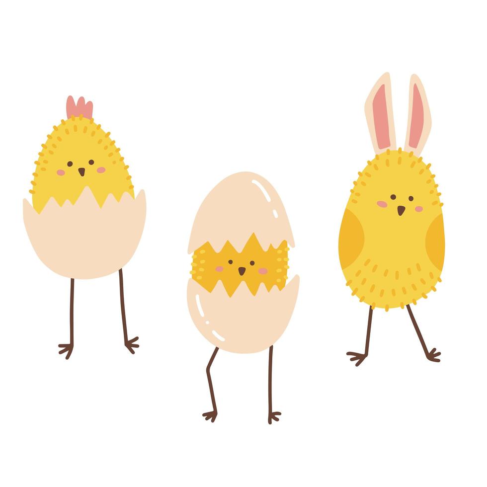 conjunto de tres pollitos de pascua de dibujos animados en cáscaras de huevo y con orejas de conejo aisladas sobre fondo blanco. hunny personajes de pascua. ilustración dibujada a mano vectorial plana. vector
