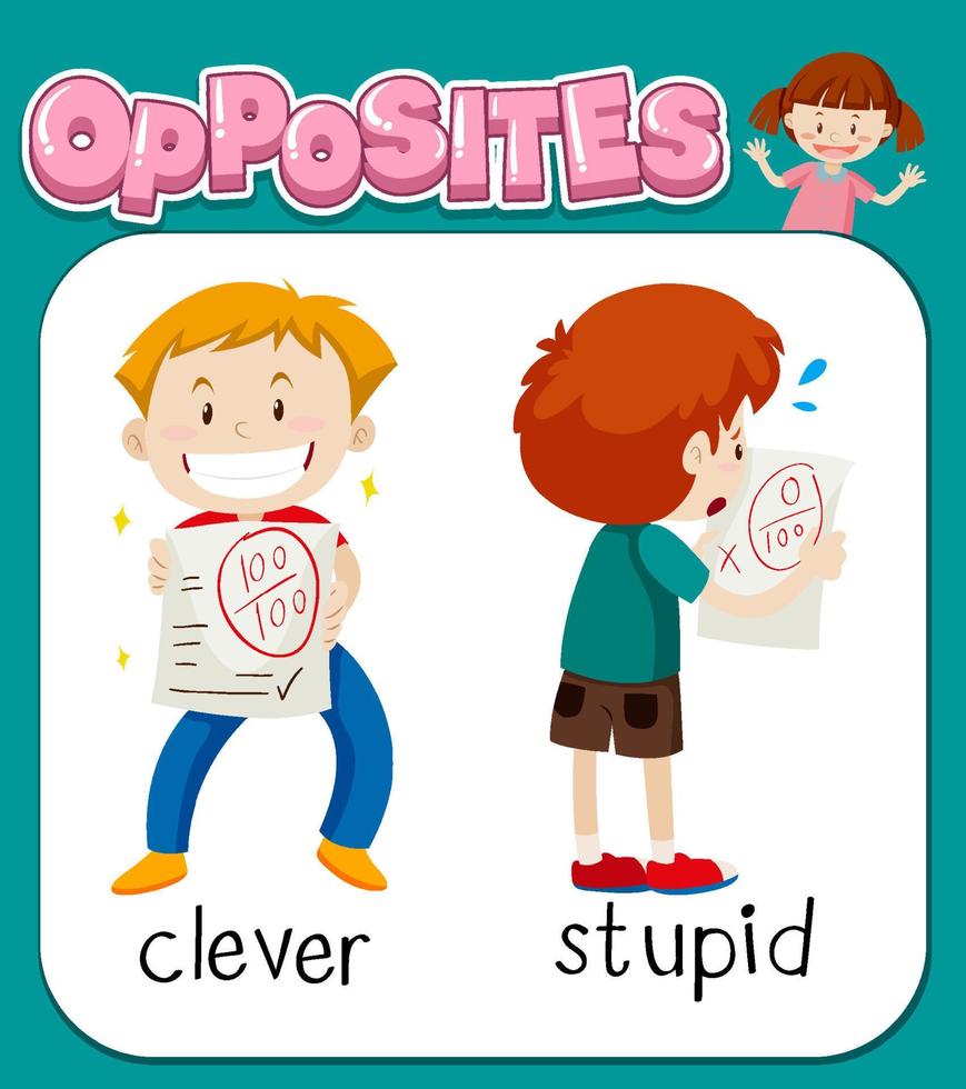 Opposite words for clever and stupid vector