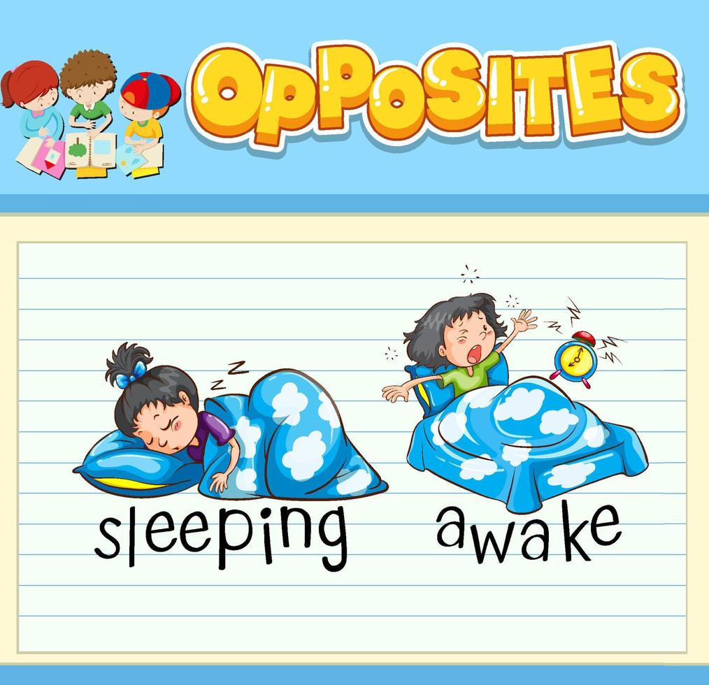 Education word card of English opposites word vector