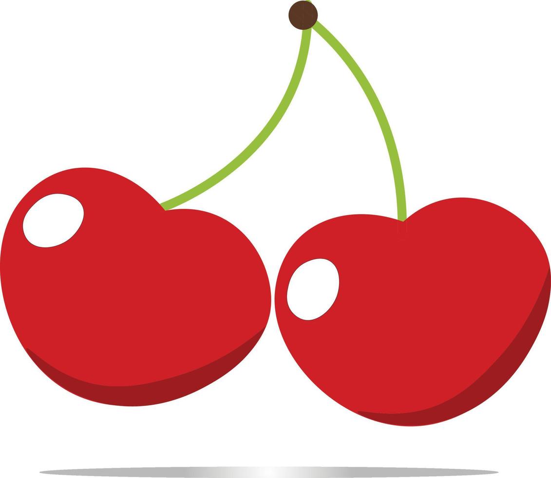 Red cherries fruit vector