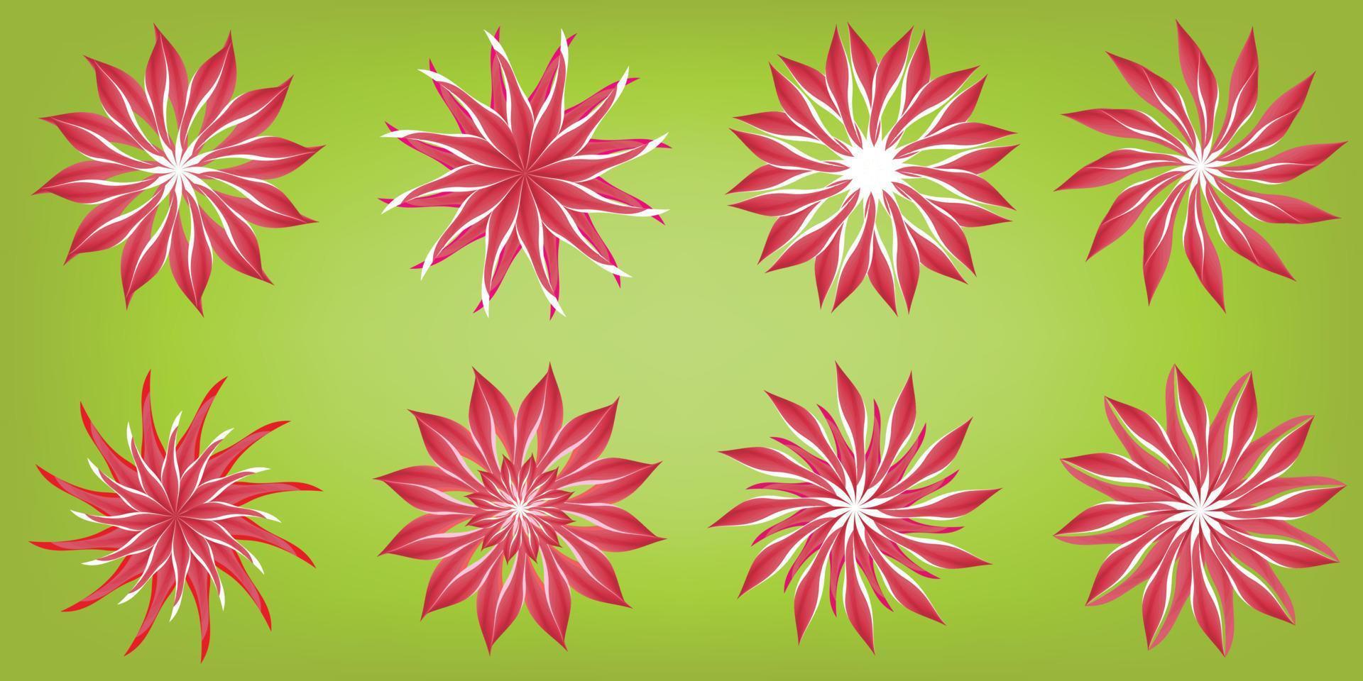 Collection of beauty daisy sunflower chrysanthemum flowers flora gerbera blossom petal plants snowflakes icon object element isolated abstract background pattern vector and illustration
