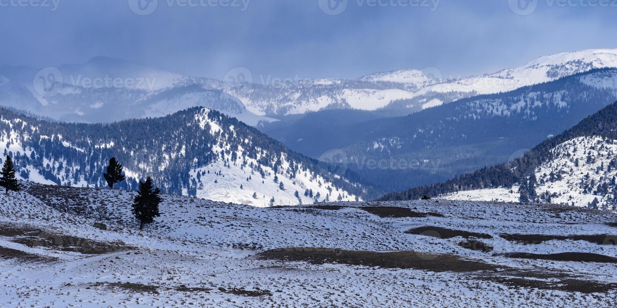 Winter landscapes of Yellowstone National Park in Wyoming photo