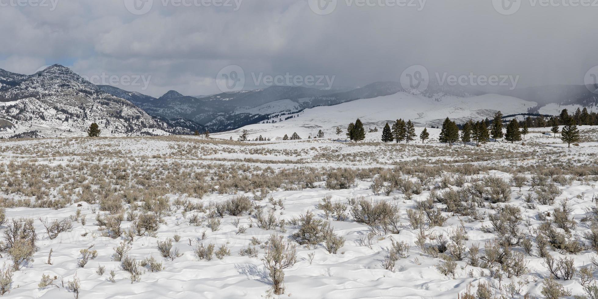 Winter landscapes of Yellowstone National Park in Wyoming photo