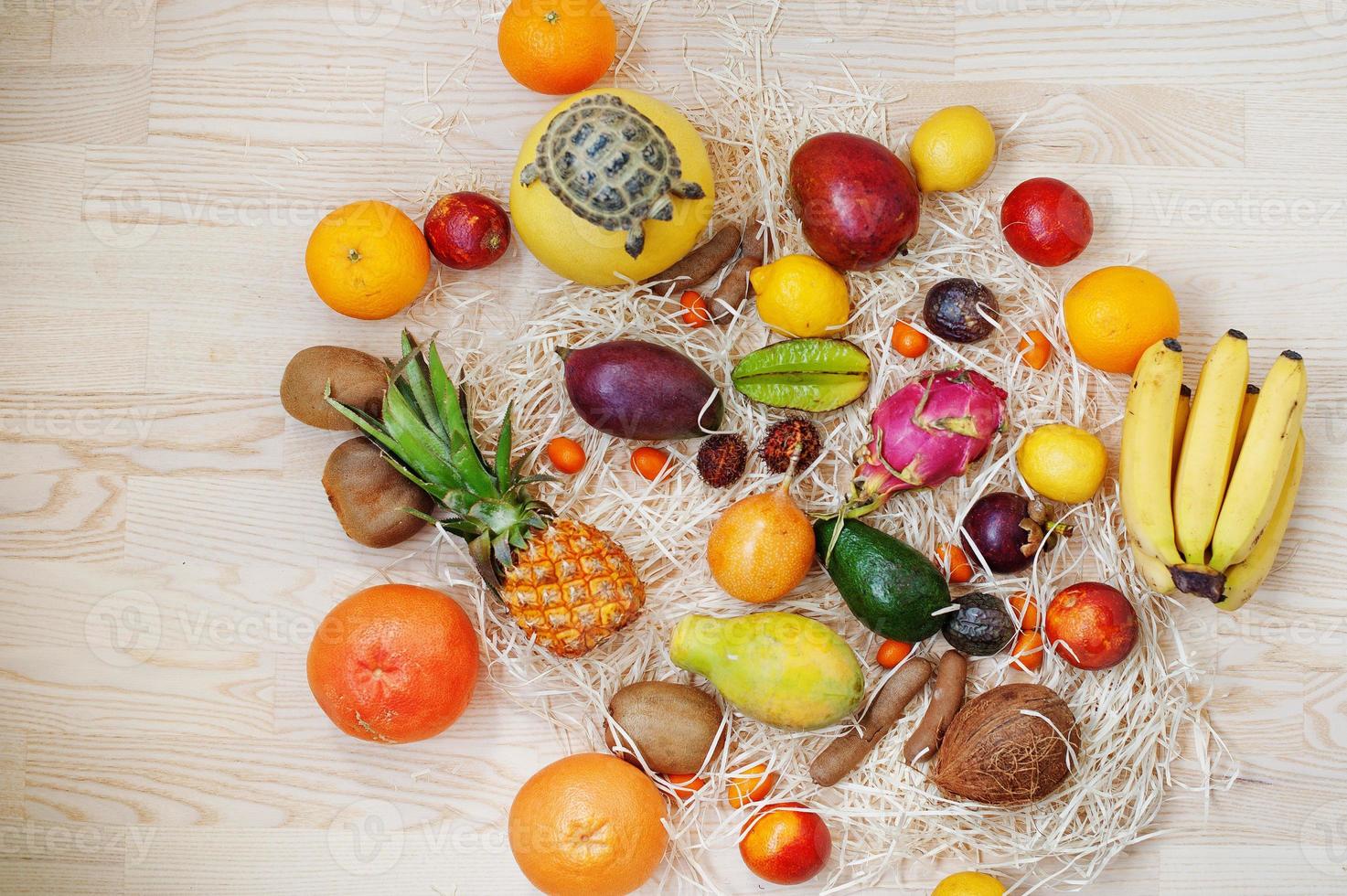 Exotic fruits with small overland turtle on wooden background. Healthy eating dieting food. photo