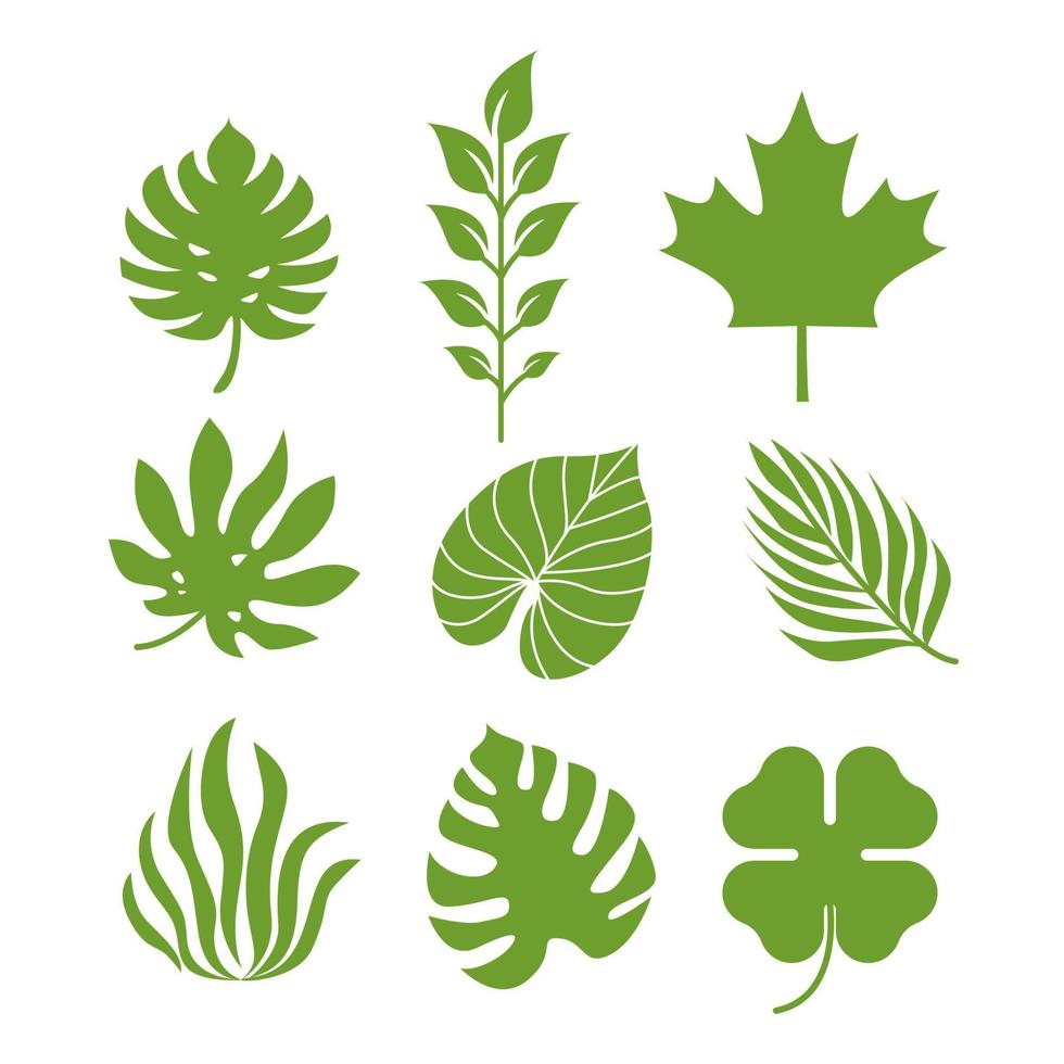 Silhouettes tropical leaves vector template